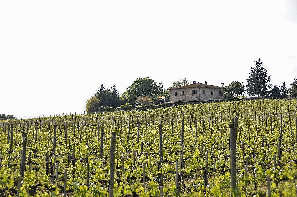 Il Colombaio, Siena -Appartamenti E Camere- Isola d'Arbia Экстерьер фото