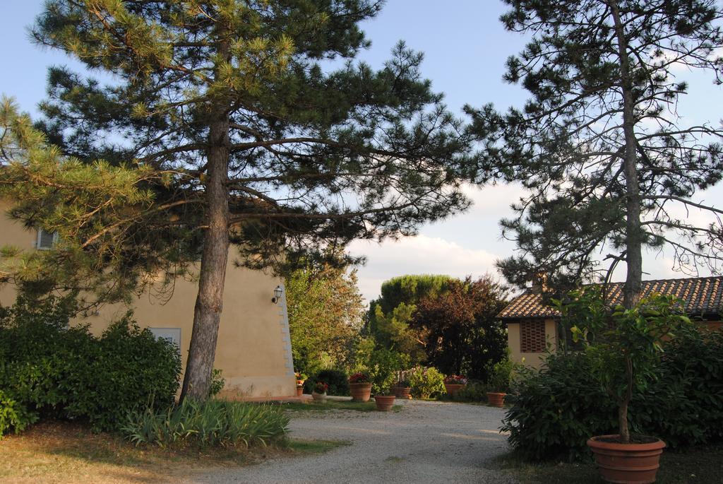 Il Colombaio, Siena -Appartamenti E Camere- Isola d'Arbia Экстерьер фото