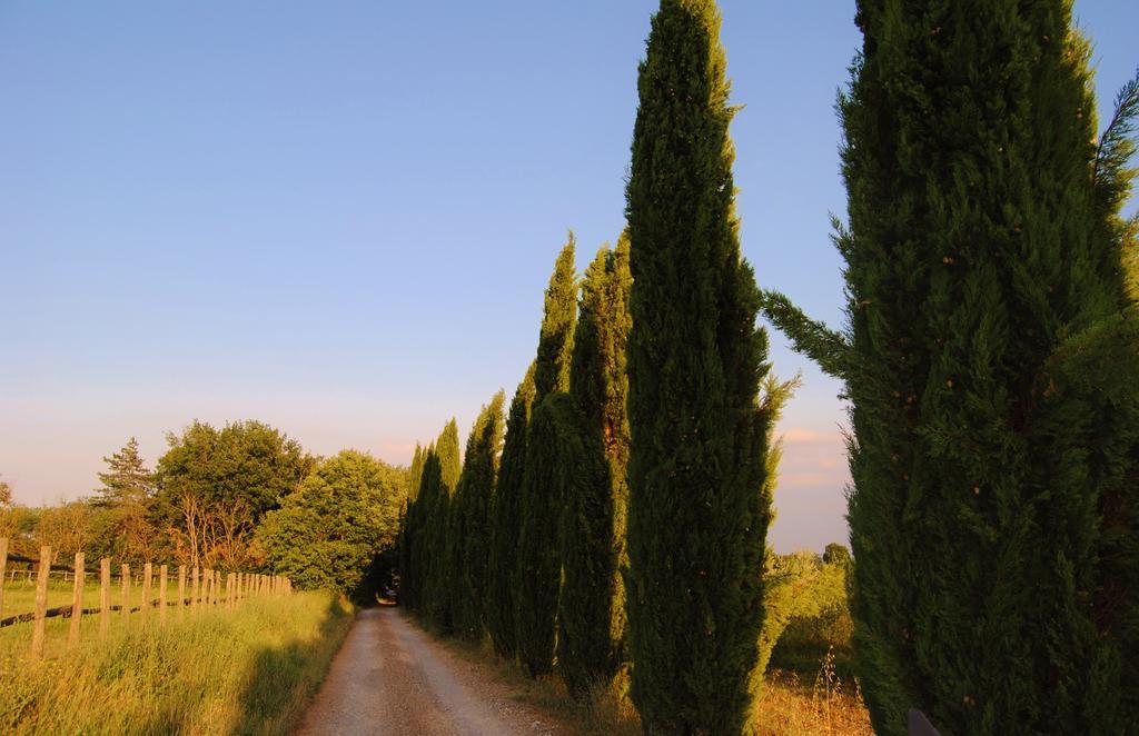 Il Colombaio, Siena -Appartamenti E Camere- Isola d'Arbia Экстерьер фото