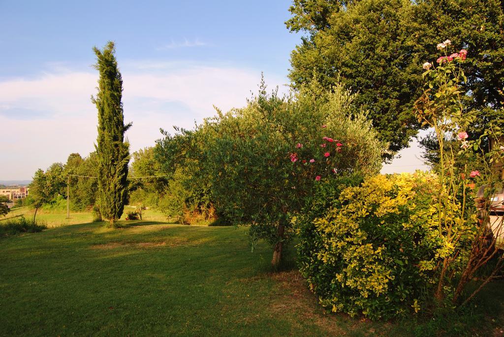 Il Colombaio, Siena -Appartamenti E Camere- Isola d'Arbia Экстерьер фото